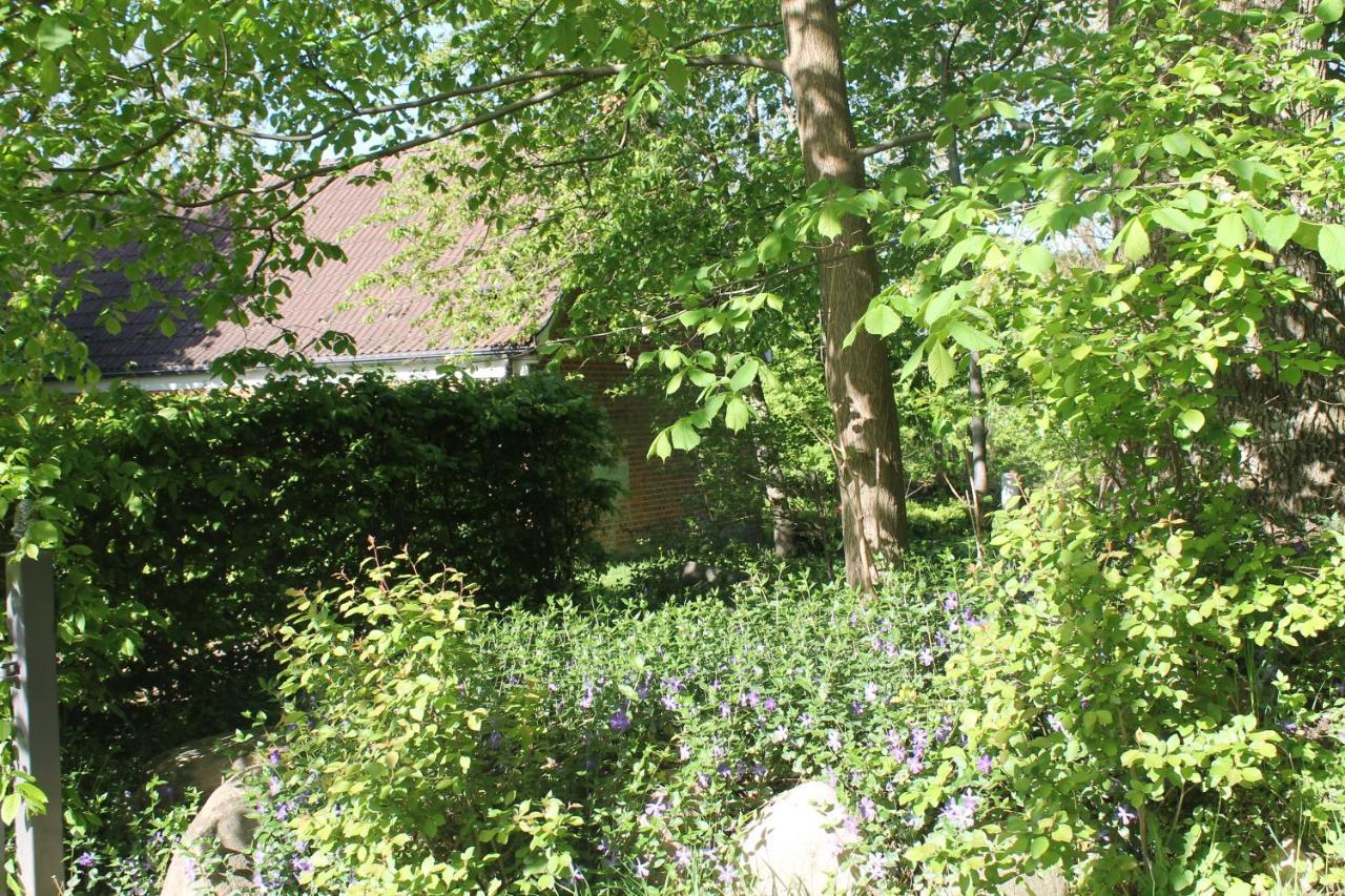 Apartment Altes Waschhaus Krakvitz Putbus